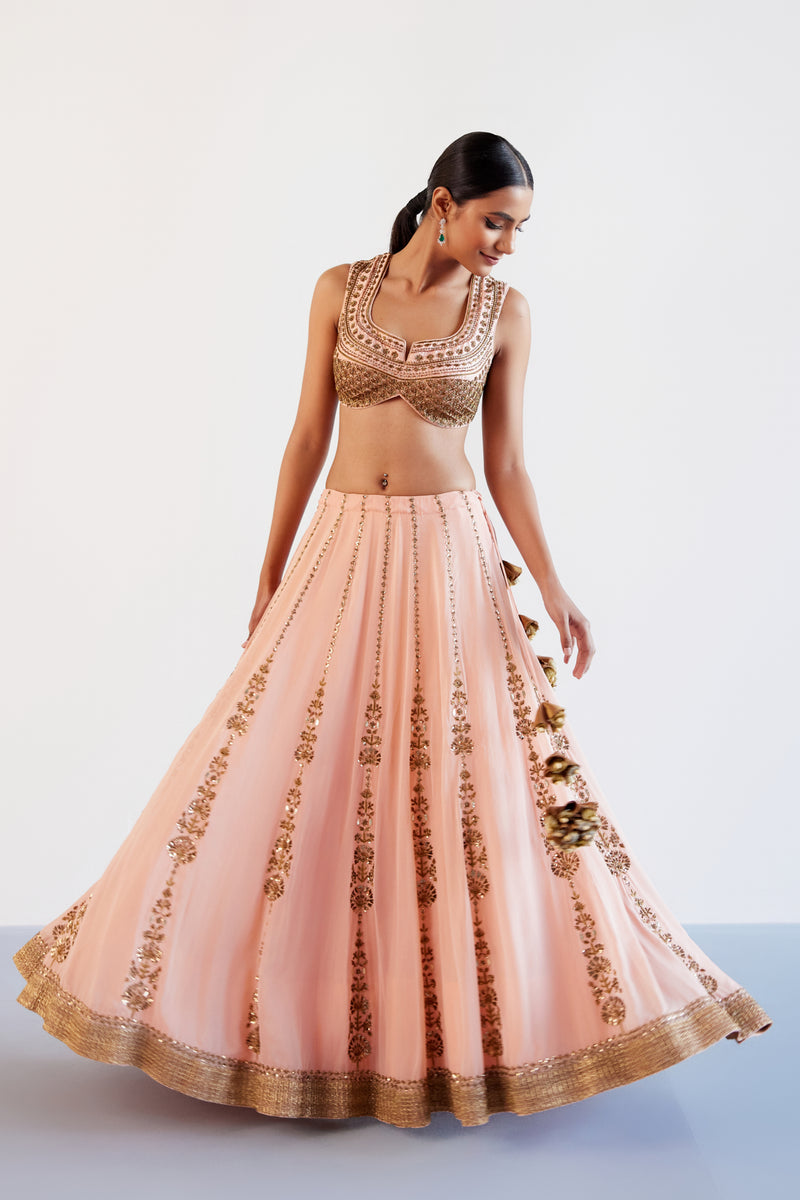 Blush Pink Hand Embroidered Pure Georgette Lehenga Set