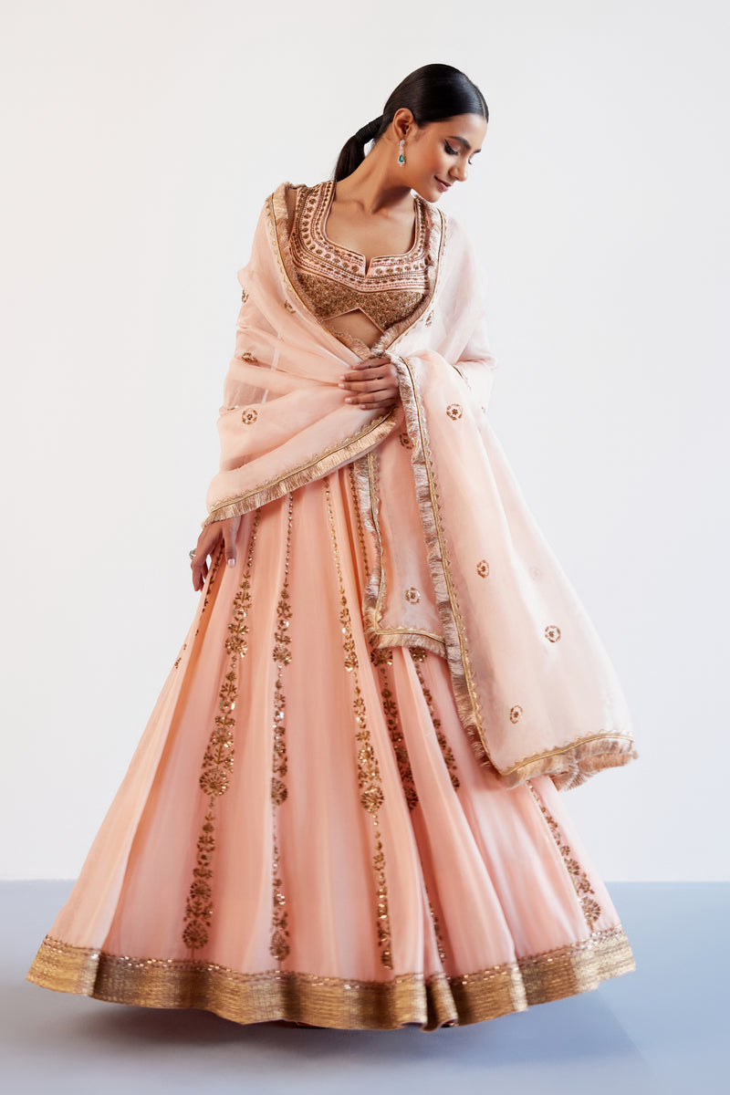 Blush Pink Hand Embroidered Pure Georgette Lehenga Set