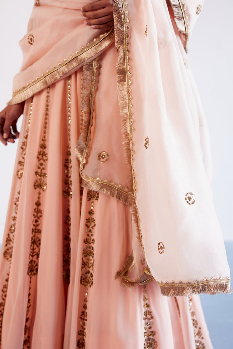 Blush Pink Hand Embroidered Pure Georgette Lehenga Set