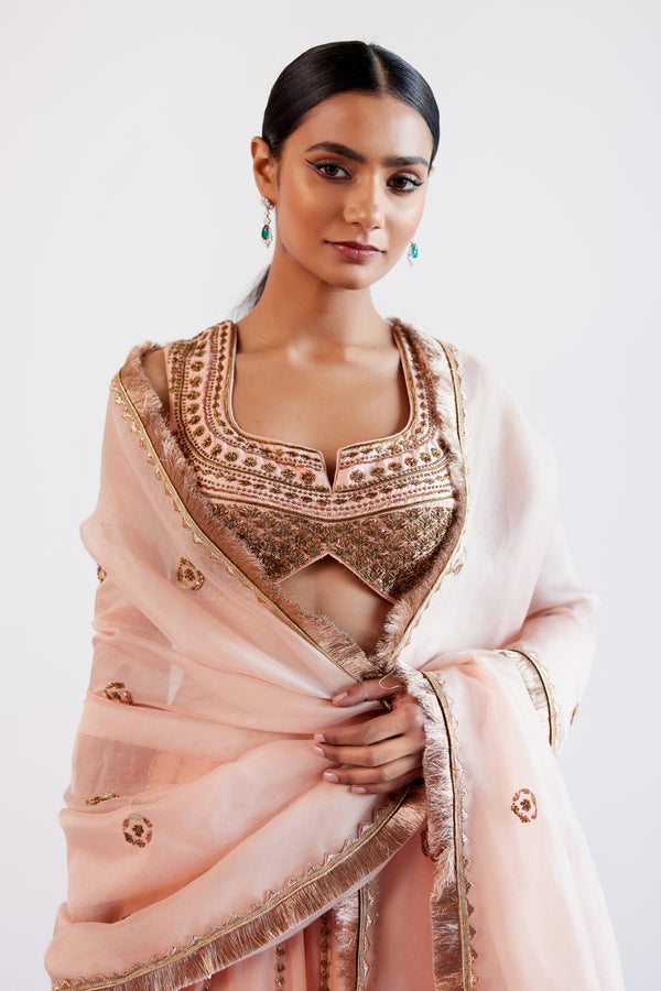 Blush Pink Hand Embroidered Pure Georgette Lehenga Set