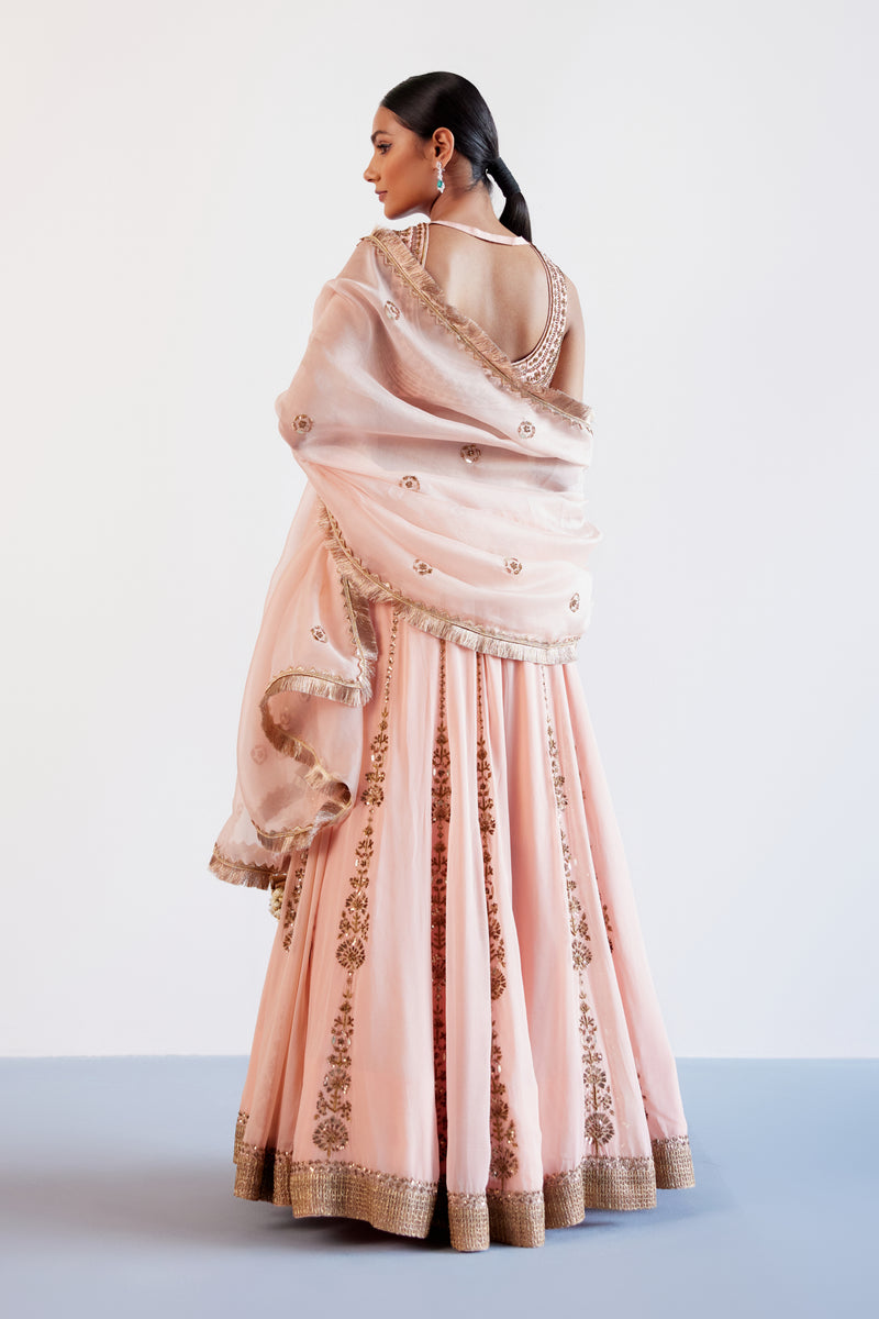 Blush Pink Hand Embroidered Pure Georgette Lehenga Set