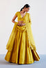 Natasha Luthra in Mustard Yellow Embroidered Cotton Silk Satin Lehenga Set