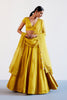 Malaika Arora in Mustard Yellow Embroidered Cotton Silk Satin Lehenga Set