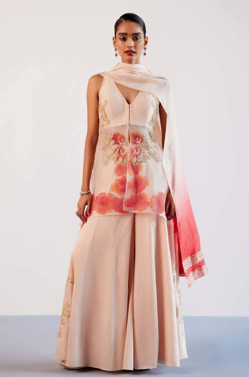 Blush Pink Silk Organza Hand-Painted Embroidered Sharara Set