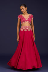 Fuchsia Embroidered Gajji & Cotton Silk Lehenga Set