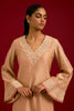 Beige Silk Chanderi Embroidered Kurta Set