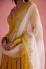 Afsana Anarkali Set - Mustard