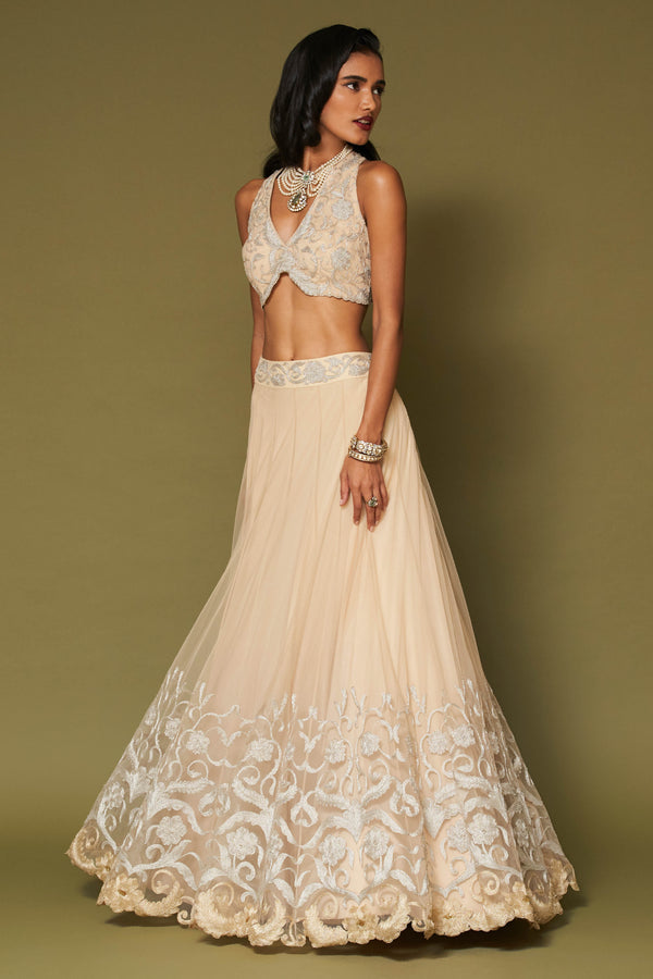 Almond Embroidered Net Lehenga Set