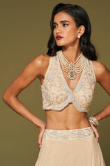 Almond Embroidered Net Lehenga Set