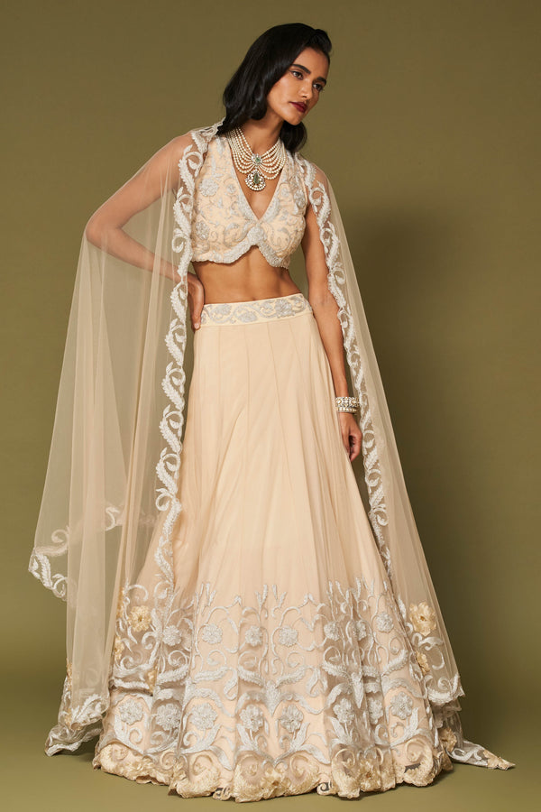 Almond Embroidered Net Lehenga Set