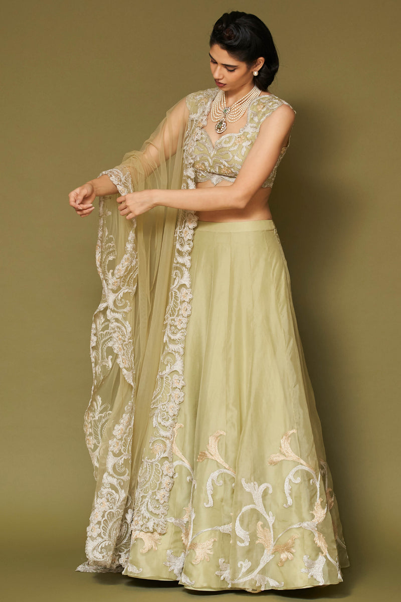 Pistachio Embroidered Silk Organza Lehenga Set
