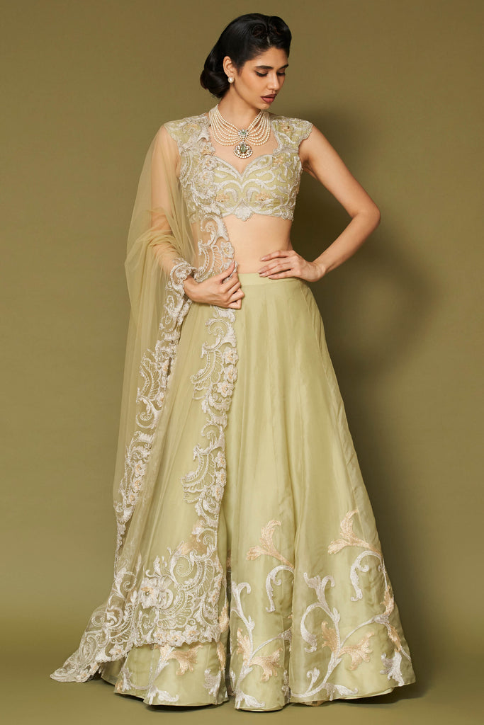 Pistachio Embroidered Silk Organza Lehenga Set