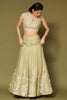 Pistachio Embroidered Silk Organza Lehenga Set
