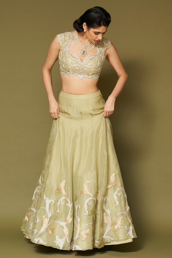 Pistachio Embroidered Silk Organza Lehenga Set