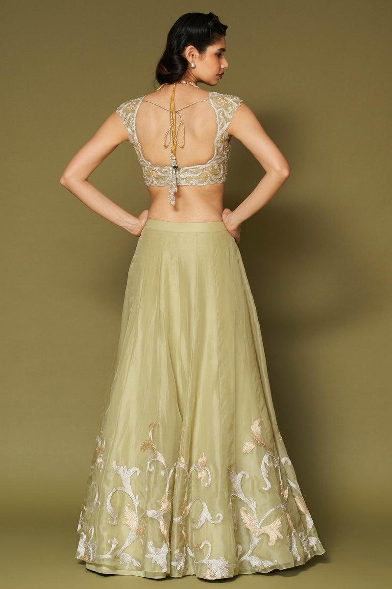 Pistachio Embroidered Silk Organza Lehenga Set