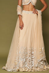 Almond Embroidered Net Lehenga Set