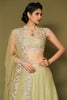 Pistachio Embroidered Silk Organza Lehenga Set