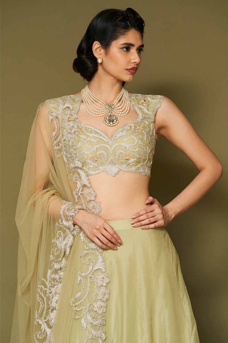 Pistachio Embroidered Silk Organza Lehenga Set