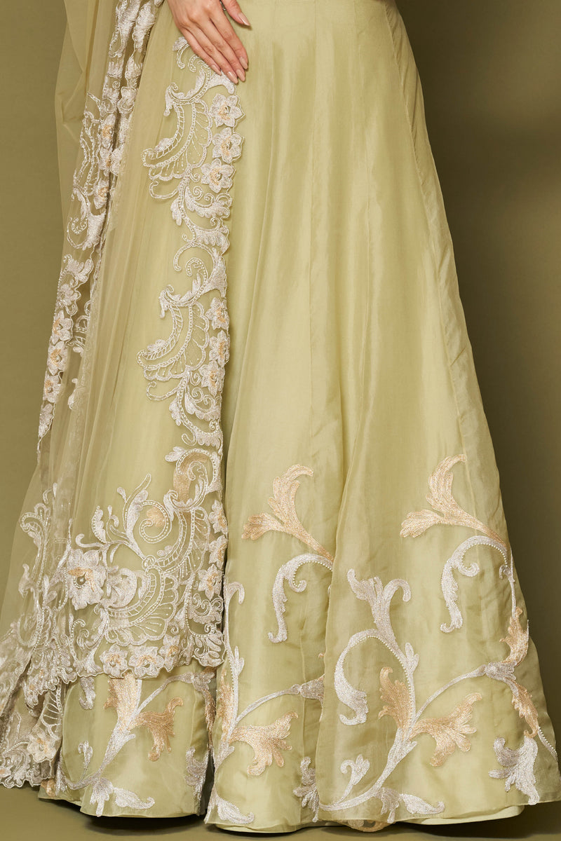 Pistachio Embroidered Silk Organza Lehenga Set