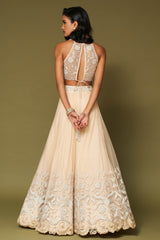 Almond Embroidered Net Lehenga Set