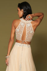 Almond Embroidered Net Lehenga Set