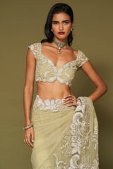 Pistachio Embroidered Net Saree Set
