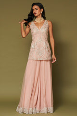 Blush Pink Embroidered Net Sharara Set