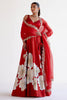 Ruby Red Silk Chanderi Hand-Painted Lehenga Set