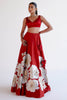 Ruby Red Silk Chanderi Hand-Painted Lehenga Set