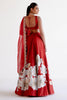 Ruby Red Silk Chanderi Hand-Painted Lehenga Set