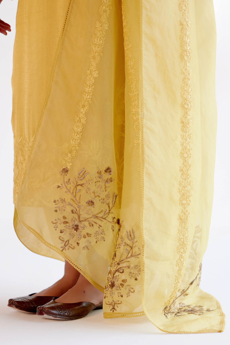 Yellow Dori and Sequins Embroidered Kurta and Dhoti Set