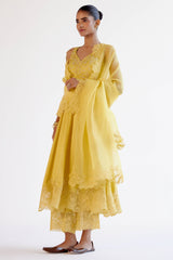Yellow Dori and Sequins Embroidered Anarkali Set