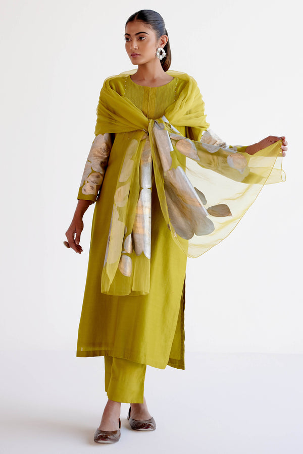 Lime Green Silk Chanderi Hand-Painted Kurta Set