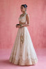 Sitara Lehenga Set - Ivory