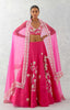 Tarini Manchanda in Fuchsia Pink Embroidered Silk Organza Lehenga Set