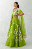 Green Embroidered Silk Organza Lehenga