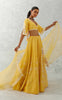 Mango Yellow Floral Embroidered Silk Chanderi Lehenga Set