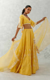 Mango Yellow Floral Embroidered Silk Chanderi Lehenga Set