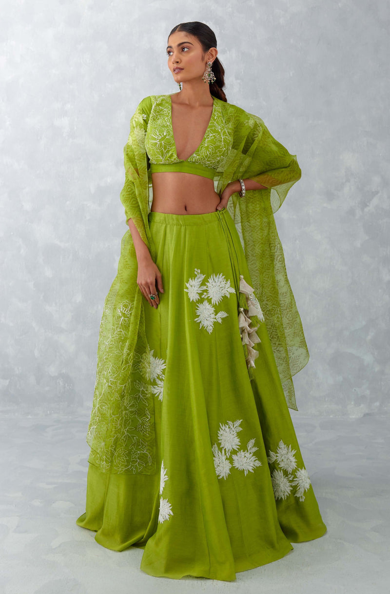 Green Floral Embroidered Chanderi Silk Lehenga Set