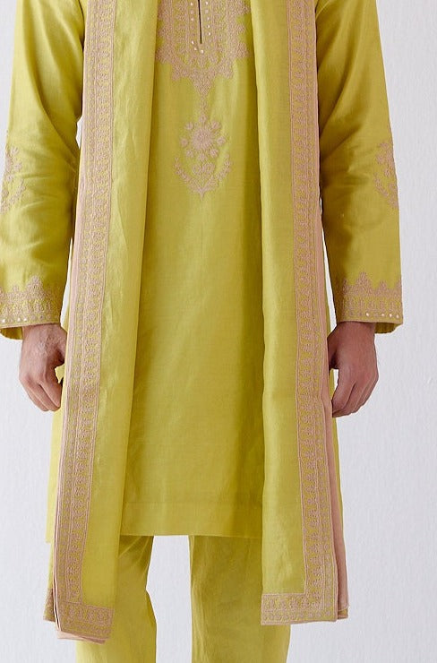 Lime Green Embroidered Stole