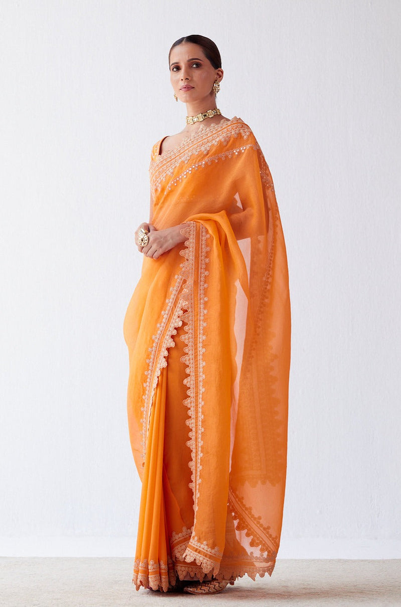 Natasha Luthra in Orange Embroidered Georgette Organza Saree