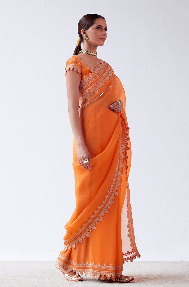 Natasha Luthra in Orange Embroidered Georgette Organza Saree