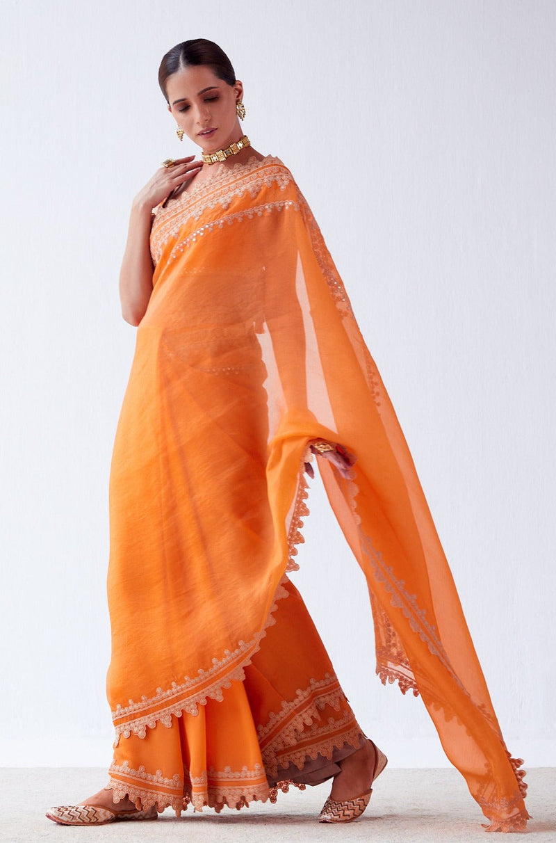 Natasha Luthra in Orange Embroidered Georgette Organza Saree