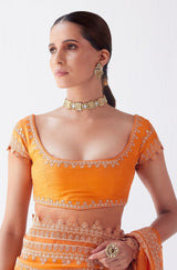 Natasha Luthra in Orange Embroidered Georgette Organza Saree