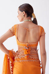 Orange Embroidered Georgette Organza Saree
