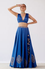 Blue Dori Embroidered Cotton Silk Lehenga