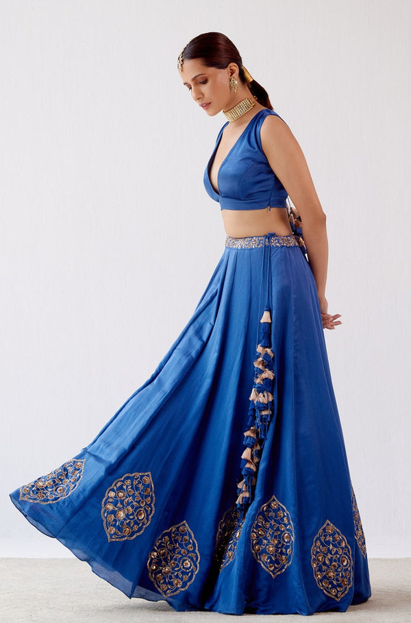 Blue Dori Embroidered Cotton Silk Lehenga