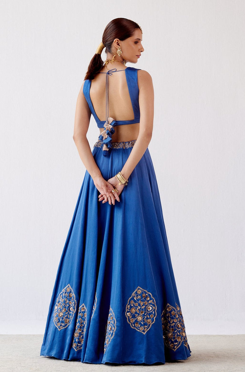 Blue Dori Embroidered Cotton Silk Lehenga