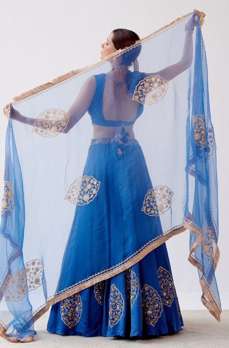 Blue Dori Embroidered Cotton Silk Lehenga