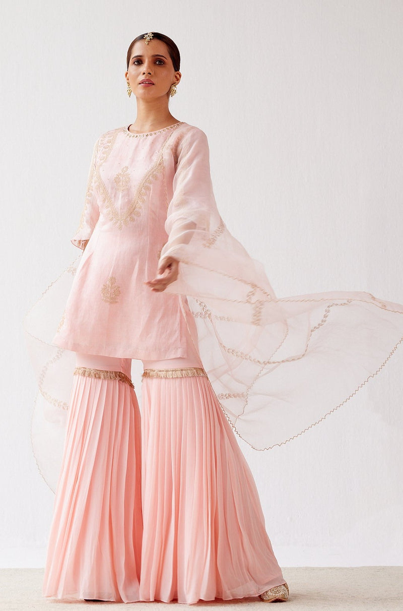 Blush Pink Dori Embroidered Sharara Set